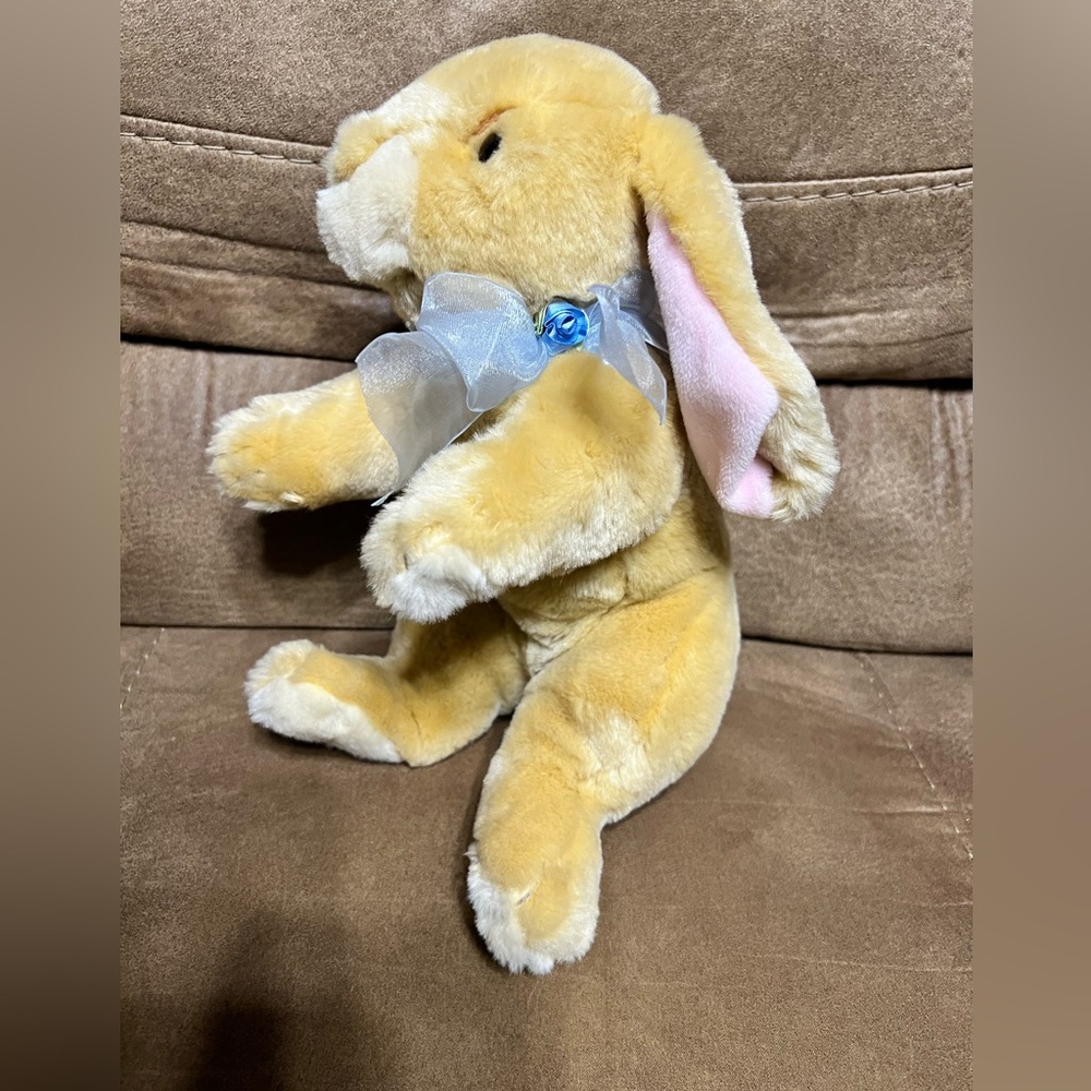Commonwealth Bunny Rabbit - Picture 8 of 12